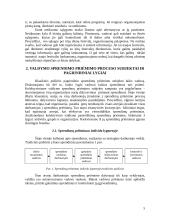 Valdymo sprendimų priėmimas įmonėse 5 puslapis