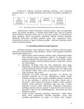 Valdymo sprendimų priėmimas įmonėse 6 puslapis