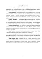 Socialinės paslaugos vaikus globojančiai šeimai 2 puslapis