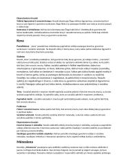 Jurgio Savickio kūrinių analizės 3 puslapis