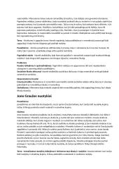 Jurgio Savickio kūrinių analizės 4 puslapis