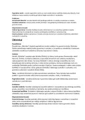 Jurgio Savickio kūrinių analizės 5 puslapis