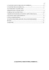 Valdymo tipai 2 puslapis