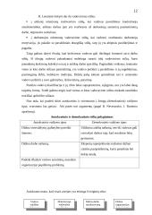 Valdymo tipai 12 puslapis