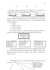 Valdymo tipai 13 puslapis