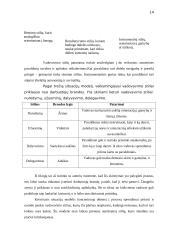 Valdymo tipai 14 puslapis