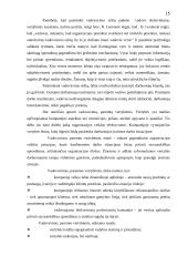 Valdymo tipai 15 puslapis