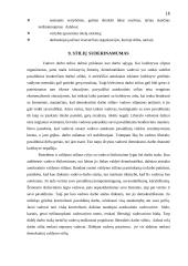 Valdymo tipai 16 puslapis