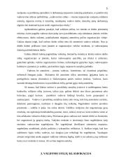 Valdymo tipai 5 puslapis