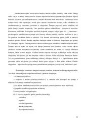 Valdymo turinys ir funkcijos 12 puslapis