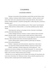 Valdymo turinys ir funkcijos 3 puslapis