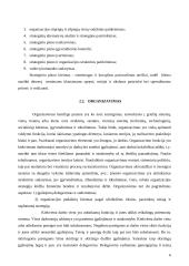 Valdymo turinys ir funkcijos 6 puslapis