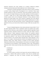 Valdymo turinys ir funkcijos 7 puslapis