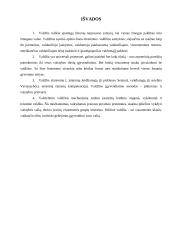 Valdžios sandara demokratinėse šalyse 17 puslapis