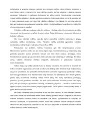 Valdžios sandara demokratinėse šalyse 5 puslapis