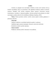 Mokinio turinčio autizmo spektro sutrikimų atvejo analizė 2 puslapis