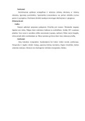 Mokinio turinčio autizmo spektro sutrikimų atvejo analizė 8 puslapis