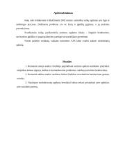 Mokinio turinčio autizmo spektro sutrikimų atvejo analizė 9 puslapis