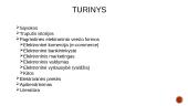 Elektroninio verslo prekės ir paslaugos 2 puslapis