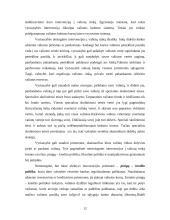 Valiutinės eksporto – importo operacijos 12 puslapis