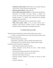 Valiutinės eksporto – importo operacijos 19 puslapis