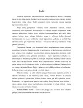 Valiutinės eksporto – importo operacijos 3 puslapis