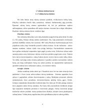 Valiutinės eksporto – importo operacijos 4 puslapis