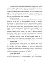Valiutinės eksporto – importo operacijos 5 puslapis