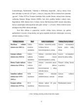 Valiutinės eksporto – importo operacijos 6 puslapis