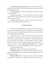 Valiutinės eksporto – importo operacijos 8 puslapis