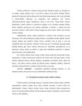 Valiutinės eksporto – importo operacijos 10 puslapis
