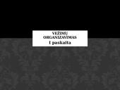 Vežimų organizavimas