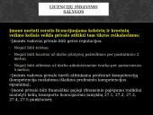 Vežimų organizavimas 12 puslapis