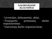 Vežimų organizavimas 3 puslapis