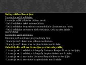 Vežimų organizavimas 7 puslapis