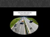 Vežimų organizavimas 9 puslapis