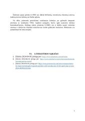 Žaidimais grįsta LUMIO aplinka 6 puslapis