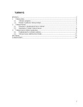 Valiutos kurso režimo nustatymas 2 puslapis