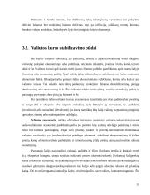 Valiutos kurso režimo nustatymas 11 puslapis