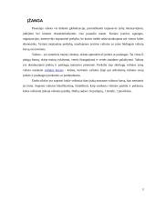 Valiutos kurso režimo nustatymas 3 puslapis