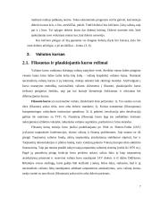 Valiutos kurso režimo nustatymas 7 puslapis