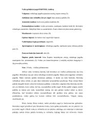 SUP poreikių vaiko atvejo analizė 2 puslapis