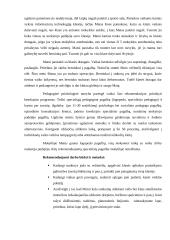 SUP poreikių vaiko atvejo analizė 3 puslapis