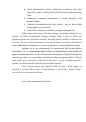 SUP poreikių vaiko atvejo analizė 4 puslapis