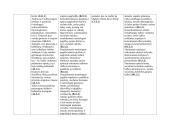5 kl. lietuvių kalbos ir literatūros ilgalaikis planas 8 puslapis