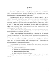 Valiutų kurso nustatymas 3 puslapis