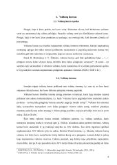 Valiutų kurso nustatymas 4 puslapis