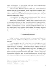 Valiutų kurso nustatymas 5 puslapis