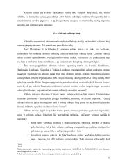 Valiutų kurso nustatymas 6 puslapis