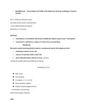 Pagrindinės virusų ypatybės 11 puslapis